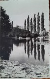 Fotografie, Baile Felix, lac cu nuferi, perioada interbelica