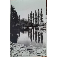 Fotografie, Baile Felix, lac cu nuferi, perioada interbelica