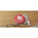 Magnet pt. frigider Bulgaria