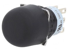 Buton de autorizare HE5B DPDT IP65