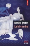 La fel ca mine - Paperback brosat - Denisa Ștefan - Polirom