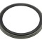 Inel magnetic ABS Renault Laguna 2, Scenic 2003-, Espace 2002-, Vel Satis 2002-, Spate, Inel Abs Tip Magnetic, NTY NZA-RE-004