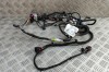 Cablaj ușă st&acirc;nga față TESLA MODEL S 2018 OEM: 1004419-01-U | 31873624