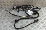 Cablaj ușă st&acirc;nga față TESLA MODEL S 2018 OEM: 1004419-01-U | 31873624
