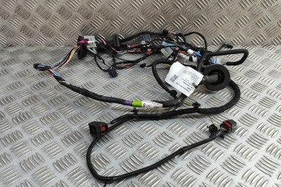 Cablaj ușă st&amp;acirc;nga față TESLA MODEL S 2018 OEM: 1004419-01-U | 31873624 foto
