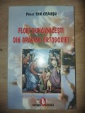 Flori duhovnicesti din gradina ortodoxiei- Preot Ion Ceausu