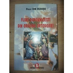 Flori duhovnicesti din gradina ortodoxiei- Preot Ion Ceausu