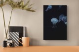 Tablou Canvas, "Meduze dans&acirc;nd &icirc;n abisul marin", Meduze, Ocean, Lumină, Mister, Albastru, Eleganță, Transparente, Dans, Noapte, Vibrație., 26 x 39 cm,