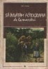 Sa invatam fotografia de la maestri, Volumul I