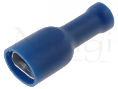 Papuc 6.3mm mama albastru izolat foto