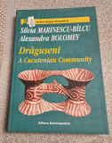 Draguseni a cucutenian community Silvia Marinescu Bilcu