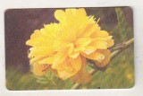 bnk card Cartela telefonica 2004 - Flori - RO-ROM-0273A