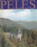 Cumpara ieftin Dan P. Popa (coord.) - Peles