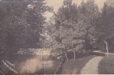 Craiova. Parcul Bibescu (circulata)