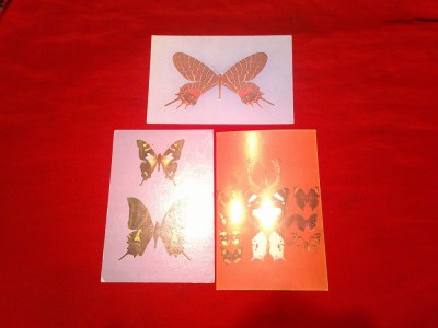 3 Ilustrate Romania - Insecte - Fluturi , din colectia Antipa foto