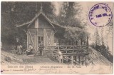 SV * Sinaia * Sf. Ana - CHIOSC MAGDALENA * 1904 * Stampila restaurant !, Circulata, Busteni, Printata