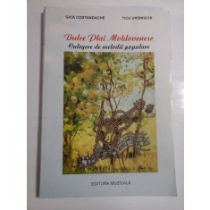 DULCE PLAI MOLDOVENESC - GICA COSTADACHE, TICU URSINSCHI