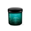Masca reparatoare pentru par degradat 1000ml Diapason