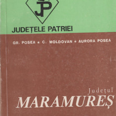 Judetele Patriei - Judetul Maramures