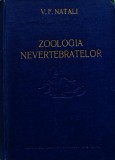 Zoologia nevertebratelor - 1954 - V. F. Natali (S414)