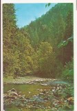 RF79-Carte Postala - Valea Slanicului la Slanic-Moldova, circulata 1976