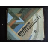 Plasticieni timisoreni - Negoita Laptoiu