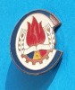 Insigna Pioneri - Comandant - Anii 1970