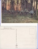 Basarabia, Moldova-Tipuri- militari austrieci-militara WWI, WK1