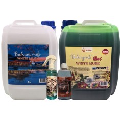 Pachet MEGA DISCOUNT White Musk