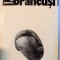 BRANCUSI de DAN GRIGORESCU , 1980