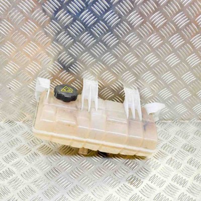 Vas de expansiune TESLA MODEL S 2017 OEM: 1036124-00-O 12136683 foto