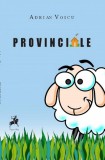 Provinciale | Adrian Voicu, 2024, Tracus Arte