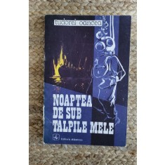 NOAPTEA DE SUB TALPILE MELE - TUDOREL OANCEA