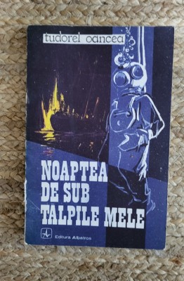 NOAPTEA DE SUB TALPILE MELE - TUDOREL OANCEA foto