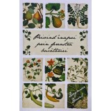 Privind inapoi prin fereastra bucatariei - 2013 - Dagmar Dusil (XB53)