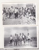 Bnk foto Maramures - dealul Murgau - anii `60, Alb-Negru, Romania de la 1950, Natura
