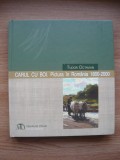TUDOR OCTAVIAN - CARUL CU BOI ( PICTURA IN ROMANIA 1800 - 2000 ) - 2012