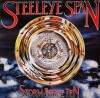 Vinil LP Steeleye Span &ndash; Storm Force Ten (-VG), Rock