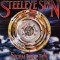 Vinil LP Steeleye Span &ndash; Storm Force Ten (-VG)
