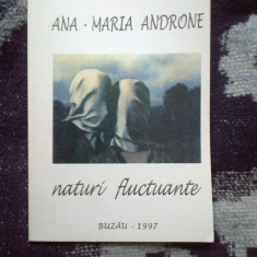 h2b Naturi fluctuante - Ana Maria Androne