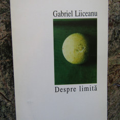 Gabriel Liiceanu - Despre limita