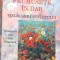 FRUMUSETE IN DAR. VINDECAREA SUFLETULUI-MARIUS GHIDEL-271950