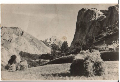 CPIB 15603 CARTE POSTALA - MUNTII APUSENI. VALEA AIUDULUI foto