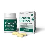 Cumpara ieftin CondroSTRESS+, 30 tablete