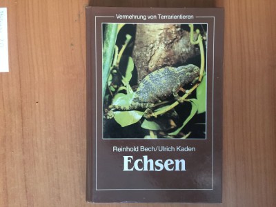 h5b VERMEHRUNG VON TERRARIENTIEREN - ECHSEN - Reinhold Bech foto