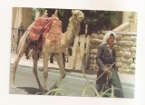 FA159 - Carte Postala - ISRAEL - Jerusalem. Old City Street Scene, necirculata