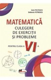 Matematica. Culegere de exercitii si probleme - Clasa 6 - Ioan Pelteacu, Elefterie Petrescu