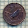 12153 MONEDA -INSULELE CAYMAN - 1 CENT -ANUL 1972 -STAREA CARE SE VEDE, America Centrala si de Sud