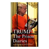 Trump: the Prison Diaries Satire Hole Guy clink