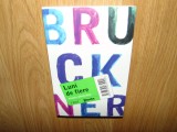 LUNI DE FIRBERE -PASCAL BRUCKNER